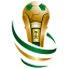 كأس خادم الحرمين الشريفين